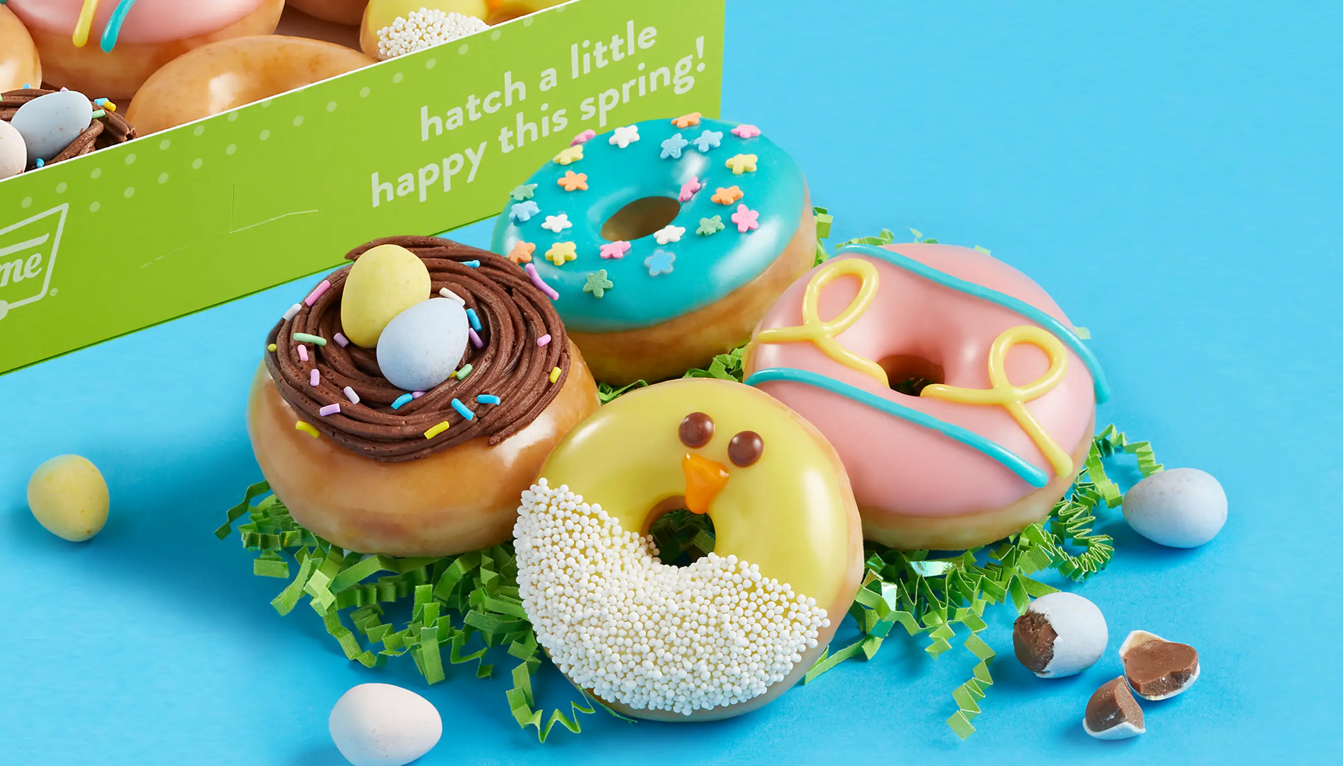 Spring Minis Doughnut Collection